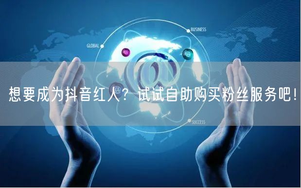 想要成为抖音红人?试试自助购买粉丝服务吧!