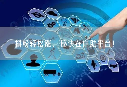 抖粉轻松涨,秘诀在自助平台!