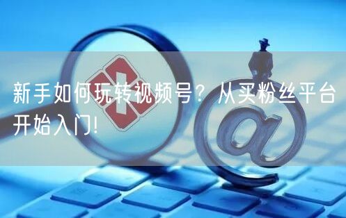 新手如何玩转视频号？从买粉丝平台开始入门!