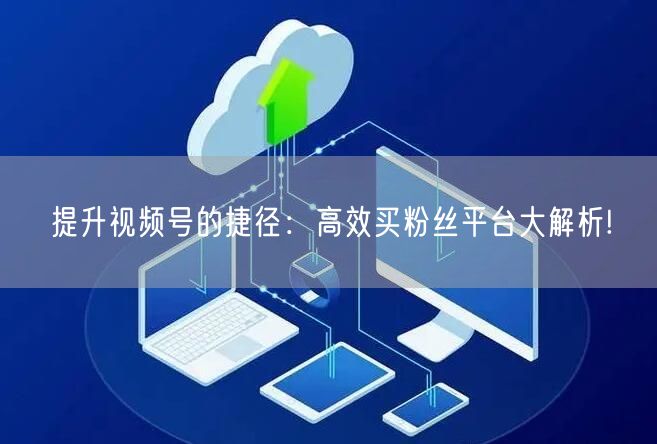 提升视频号的捷径：高效买粉丝平台大解析!